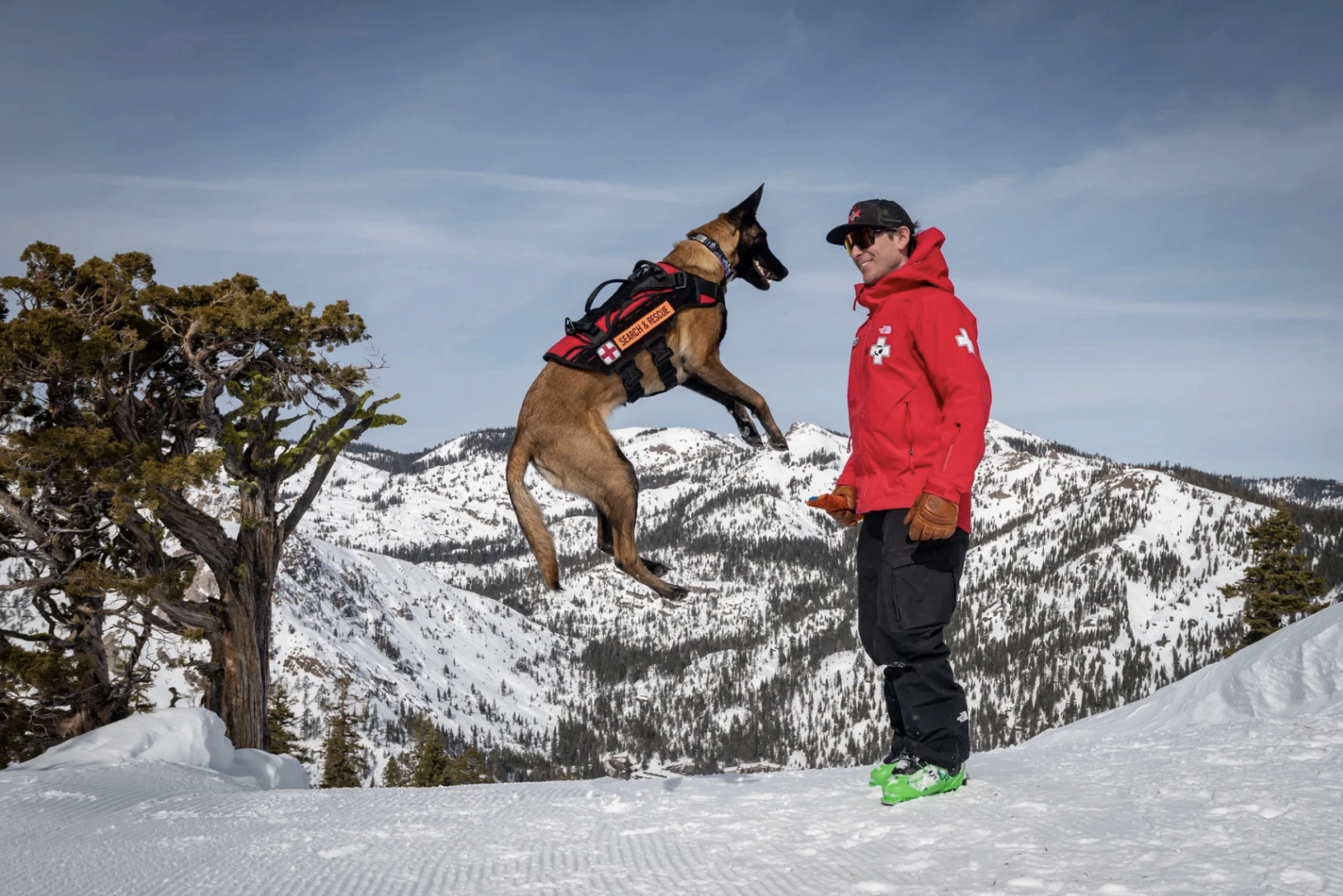 Ahsoka, a three-year-old Belgian malinois, launches into the air in front of her handler Ski Patroller Ben Stone at Palisades Tahoe in Olympic Valley, Calif.